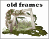 df : old frames