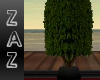 (ZaZ) Dark Plant