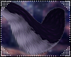 T- Chaos Tail V3