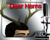 Deer Hoorns