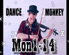 Monkey Dance + Violin