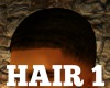 HAIR 1
