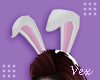 V. Bunny Ears V2