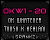 OKW - OK Whatever Toosii