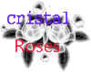 Cristal Roses