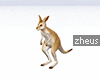 !Zheus kangaroo furni