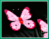 Butterfly Hairclips F