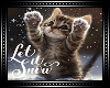 ❄Let it Snow Kitten BG