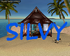 3D NAME SILVY