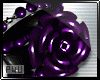 -P- Purple Rose Brace R