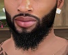 Male Beard {Layerable}