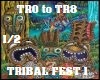 TRIBAL FEST 1/2