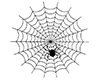 Black Spider Web