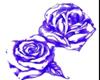 purple and white roses