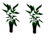 Green Black Flower 1