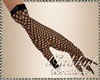 Mr Chiqui Black Fishnet