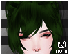 ▶ Shamrock Bangs