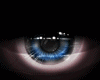 Unisex eye