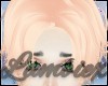 Norio - Cookie