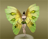 Butterfly Wings [L]