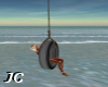 JC~Old Tire Swing