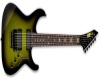 ESP Guitar