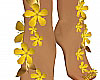 Buttercup Flowers Feet