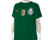 ⚽ Palmeiras 2024 ⚽