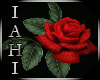 IAHI S & A Rose Frame #2