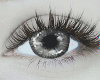 Eyes Melissa Grey