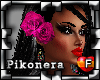 !Pk Flamenca Pelo+Flor5