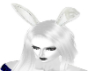 White Bunny ears