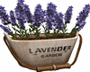 Country Lavender Bucket