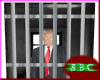 Donald Trump Prison Cell