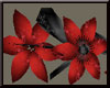 Red Flowers - Black Vine