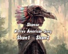 Shaman - Native Song