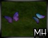 [MH] PP Color Butterfly