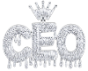 CEO ICED