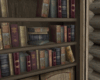 BookShelves