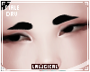 *L* DRV Brows V1