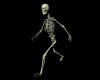 (M)Skeleton M/F
