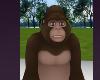 Kala Gorilla Apes Zoo Animals Halloween Costumes Monkey Funny Lo