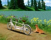 Bicycling Nature Path