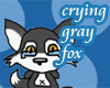crying gray fox