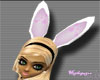 [H&P]Funny Bunny Ears
