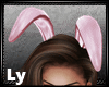 *LY* Bunny Ears Pink Amt