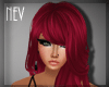✄ Pavia Glam