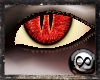 [SHG]Red Satan Eyes