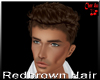 Redbrown Hair/Man