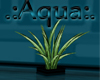 .:Aqua Plant:.